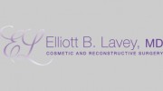 Contemporary Plastic Surgery: Lavey Elliott B